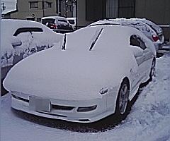 雪に埋もれたカレン