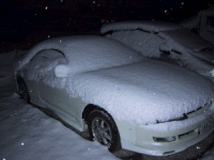 雪に埋まったカレン