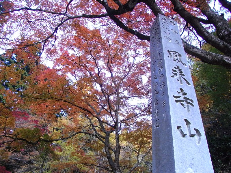 鳳来寺山は険しいぞっと