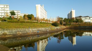 池の草刈、というか伐採…