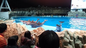 夜の水族館