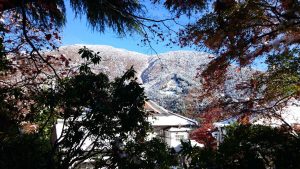 遠くの雪山と紅葉