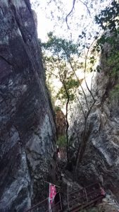 岩の割れ目に続くハシゴ