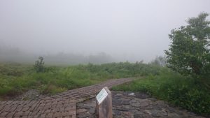 霧の弥陀ヶ原