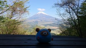 黒岳手前から見る富士山