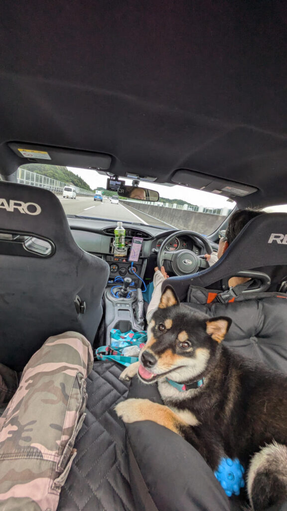 初めての犬連れ旅行へGO!