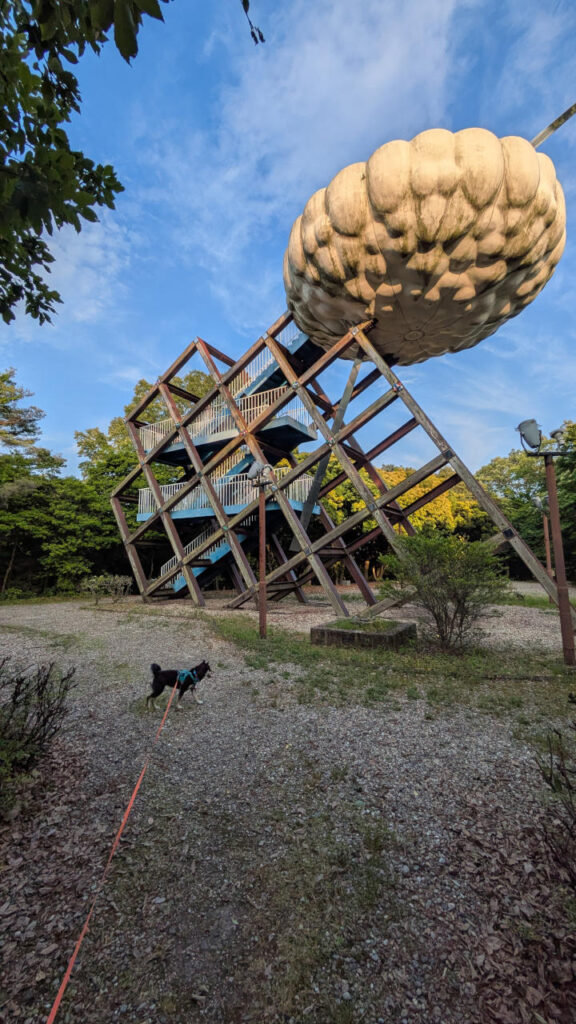 日々徒然