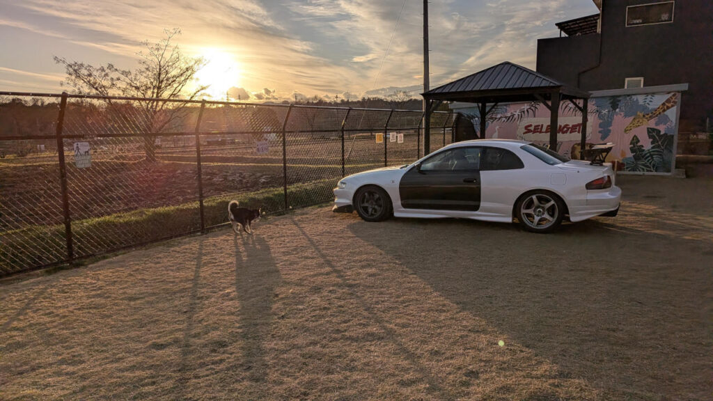 大晦日ドッグラン