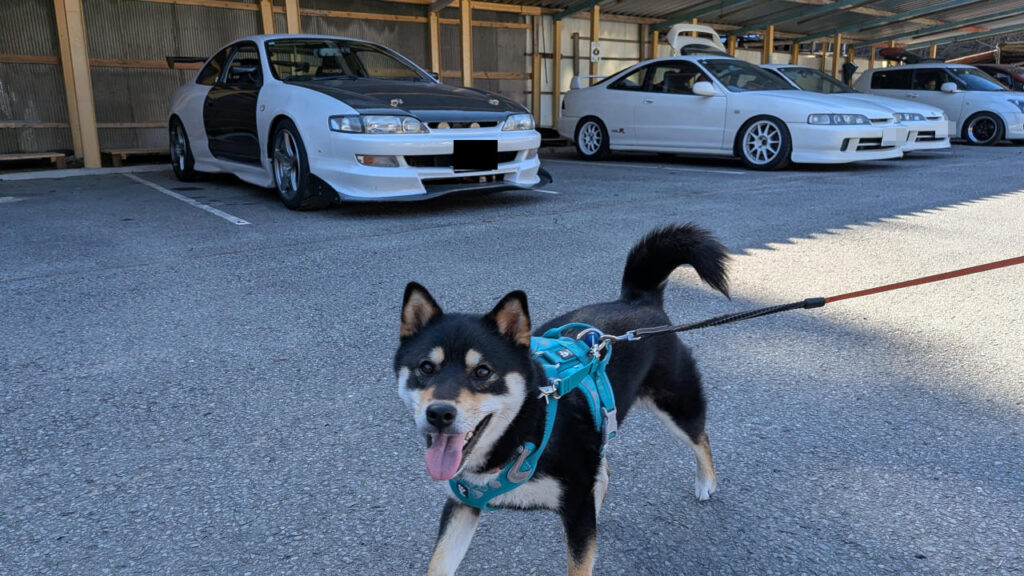 ALTベスト更新＆プレミアム4枚目GET!