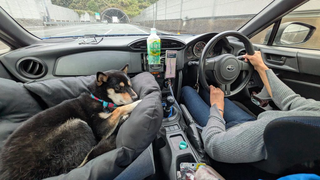 黒柴、犬舎会への旅2026